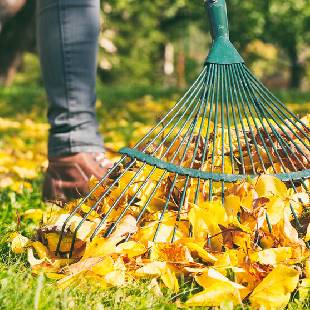 Laub im Garten? Recyclen Sie doch!