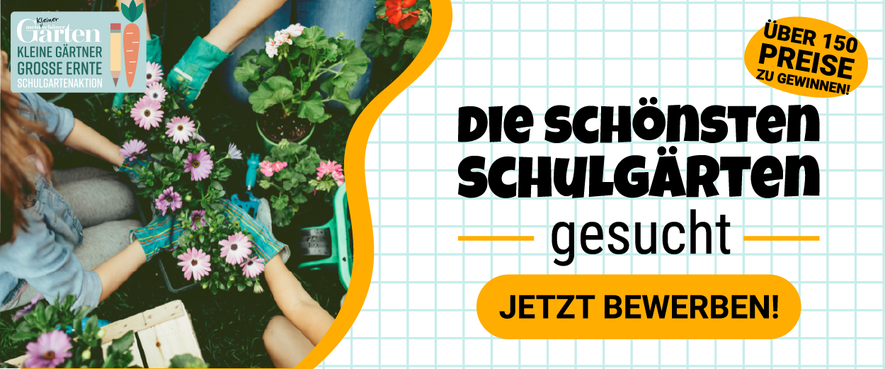 Mein kleiner schöner Garten Schulgartenaktion