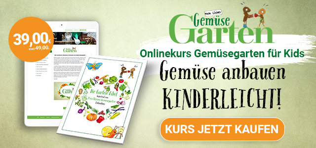 Onlinekurs Gemüsekarten für Kinder