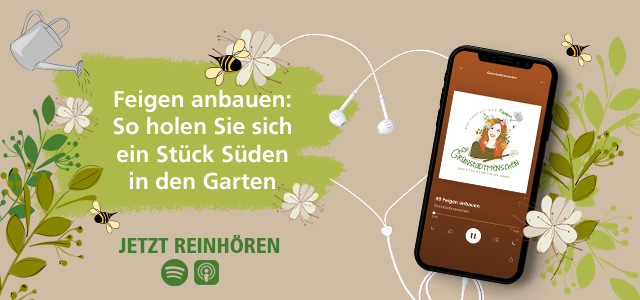 Mein schöner Garten Podcast Grünstadtmenschen neue Folge