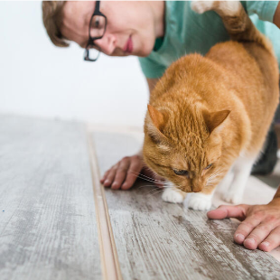 Laminatboden: Vorteile, Nachteile und Qualitätskriterien