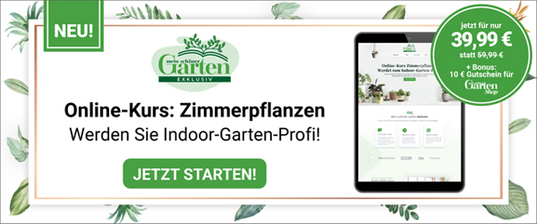 Online-Kurs Zimmerpflanzen