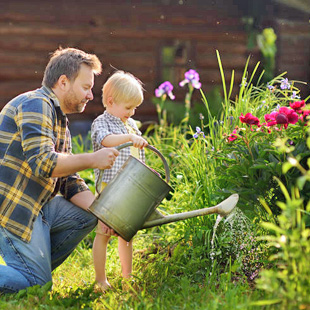 Gartenarbeit im August: Das ist jetzt zu tun