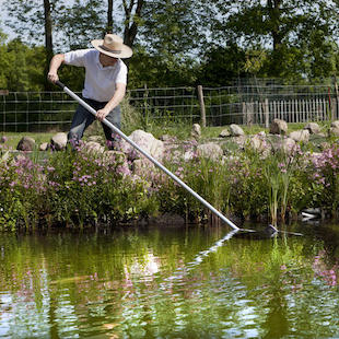 Gartenteich anlegen: Die häufigsten Fehler