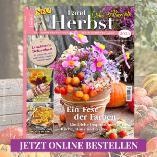 Ein Fest der Farben