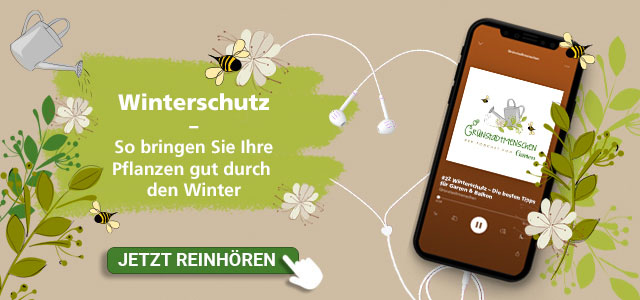 Mein schöner Garten Podcast Winterschutz