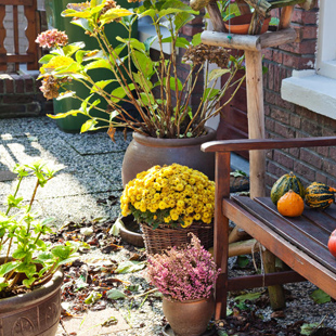 Gartentipps für den Oktober: Das sollten Sie jetzt erledigen