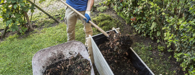 Hochbeet befüllen: Schicht für Schicht zum Ernte-Erfolg