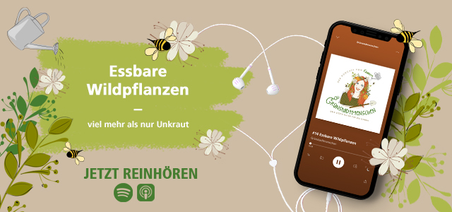 Mein schöner Garten Podcast essbare Wildpflanzen