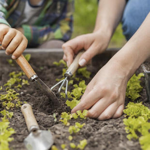 Gartenarbeiten im Oktober: 3 wichtige Aufgaben