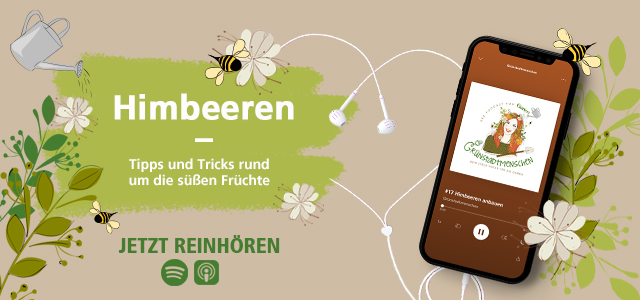 Mein schöner Garten Podcast Folge Himbeeren