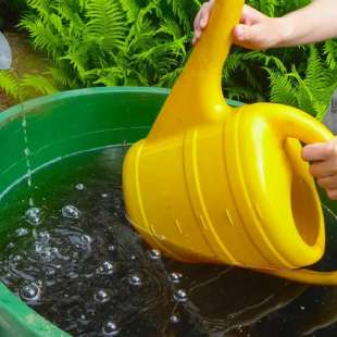 3 Fehler beim Sammeln von Regenwasser