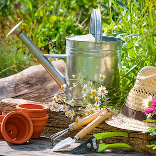 Die wichtigsten Tipps für den Gartenstart