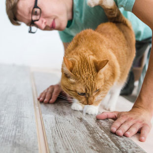 Laminatboden: Vorteile, Nachteile und Qualitätskriterien