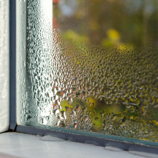 Kondenswasser am Fenster? Das hilft garantiert!