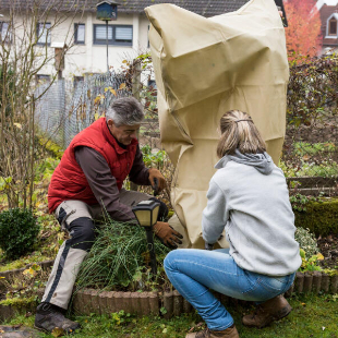 Winterschutz für den Garten: Ein Experte liefert Antworten