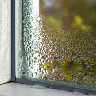 Kondenswasser am Fenster: 5 hilfreiche Tipps