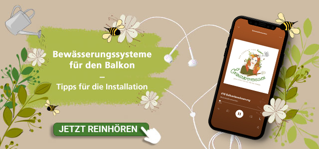 Mein schöner Garten Podcast Folge Balkonbewässerung