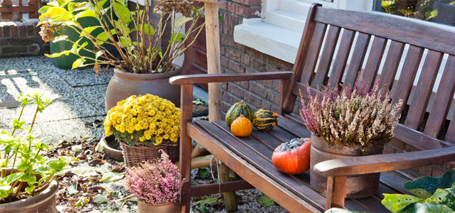 Gartenarbeiten im Oktober